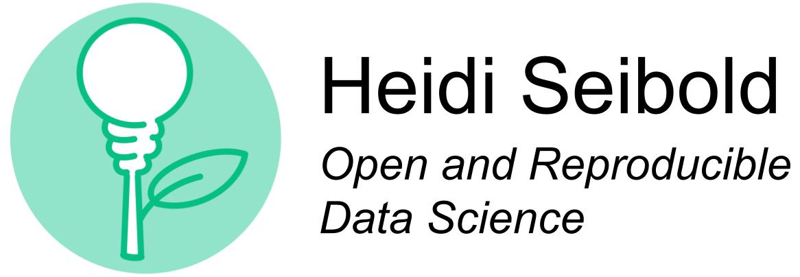 Logo Heidi Seibold